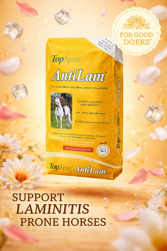 TopSpec Antilam Forage Balancer 15kg