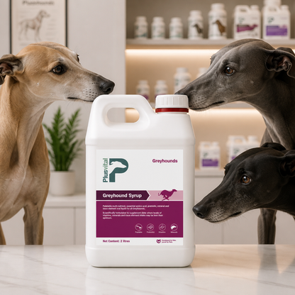 Plusvital Greyhound Syrup 2L
