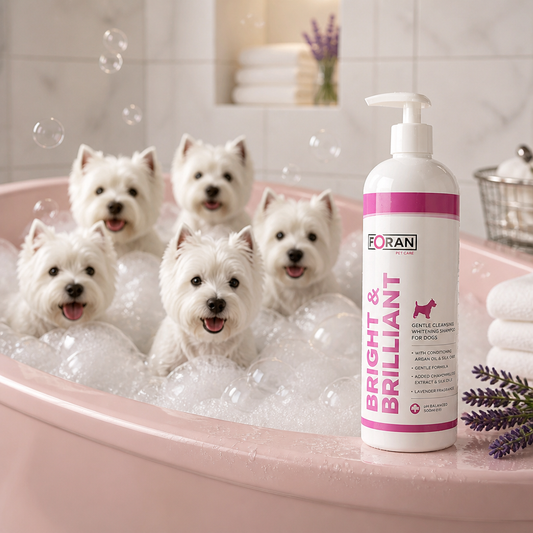 Foran Bright & Brilliant dog shampoo 500ml