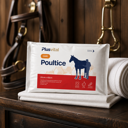 Plusvital Poultice (singles)