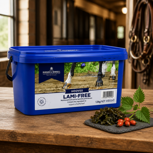 Lami-Free D&H 1.5KG