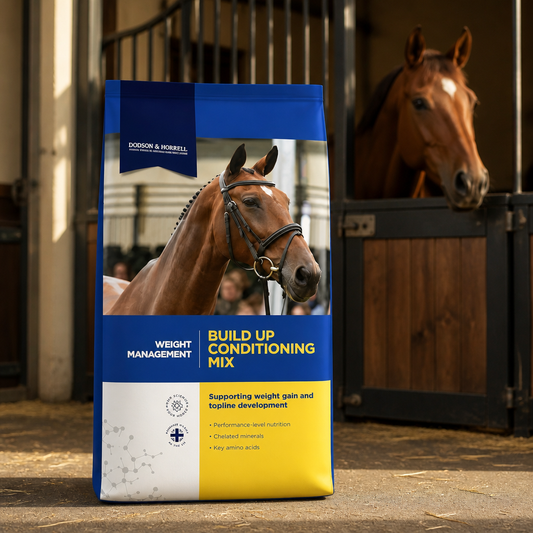 Build up conditioning mix D&H