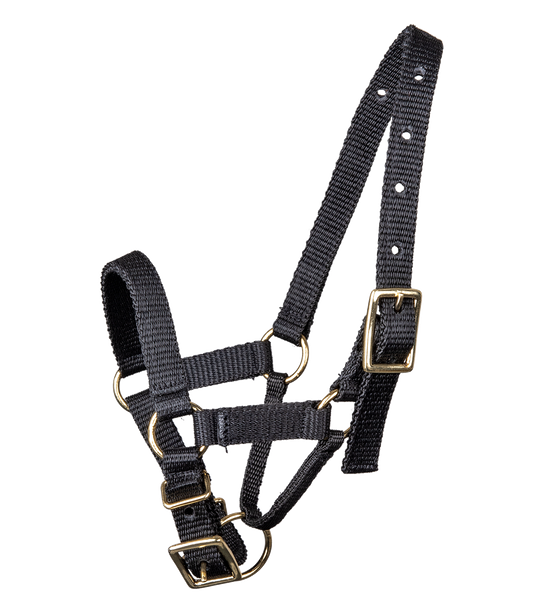 Alpaca Halter