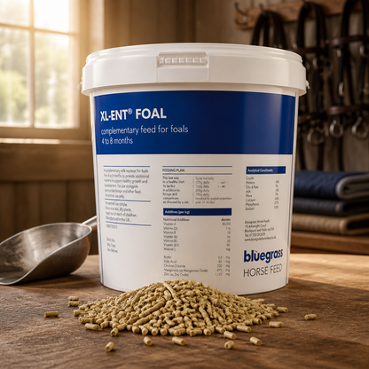FOAL MILK PELLETS 7KG  XL-ENT  BLUEGRASS