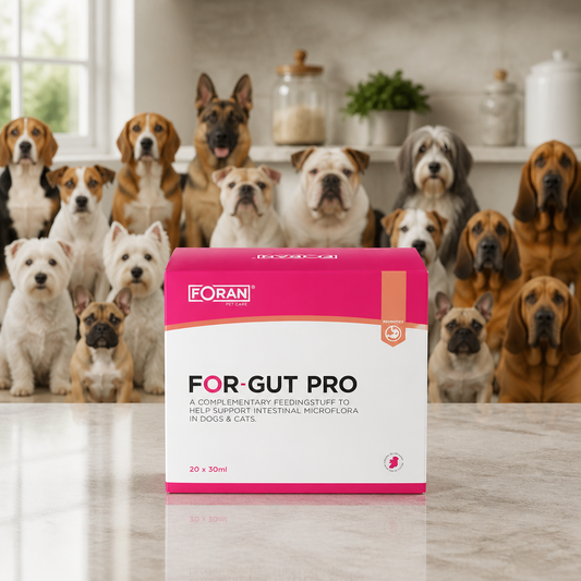 Foran FOR-GUT PRO (1 x 30ml)