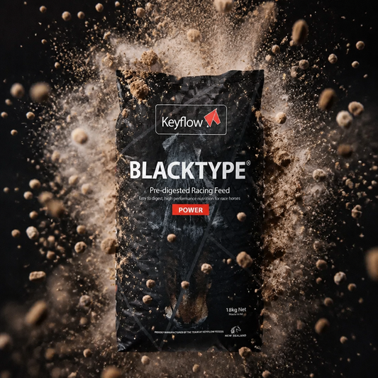 KEYFLOW BLACKTYPE POWER**PRE-ORDER ONLY**USE DUBLIN HORSESHOW CODE FOR DISCOUNT**