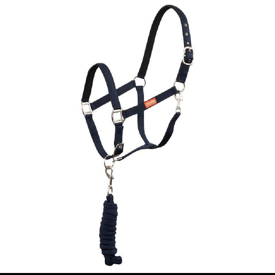 Shetland pony halter & rope set