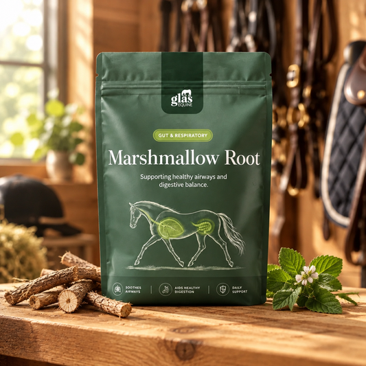 Marshmallow Root Digestive & respiratory support 1kg
