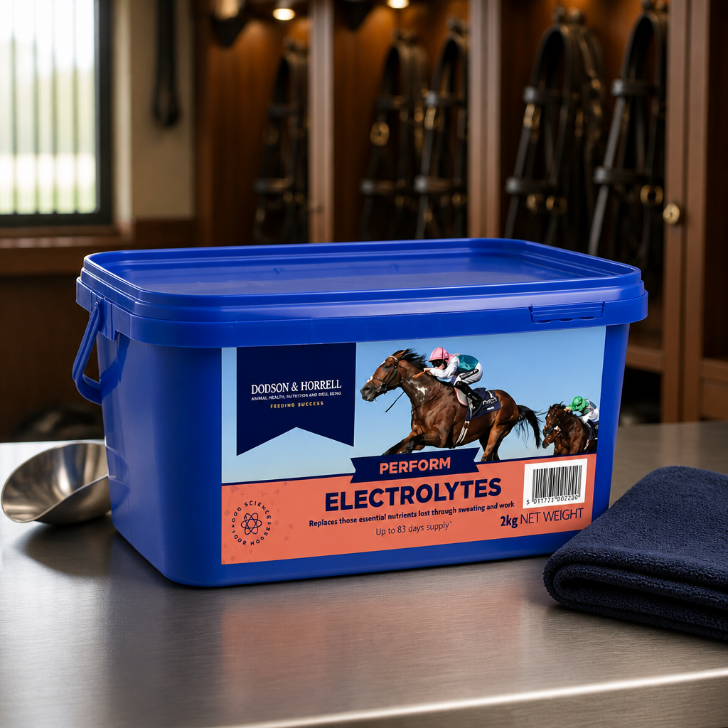 D&H Electrolytes 2kg