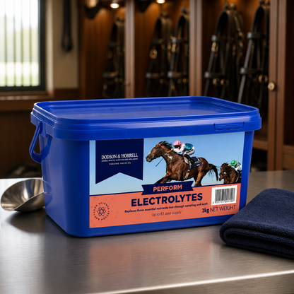D&H Electrolytes 2kg