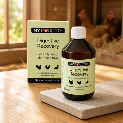 Poultry Digestive Recovery 500ml