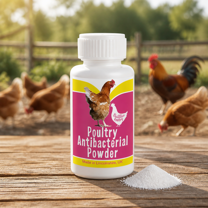 Poultry Anti Bacterial Powder 20g
