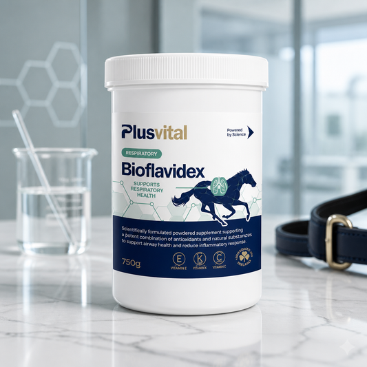 Plusvital Bioflavidex 750g