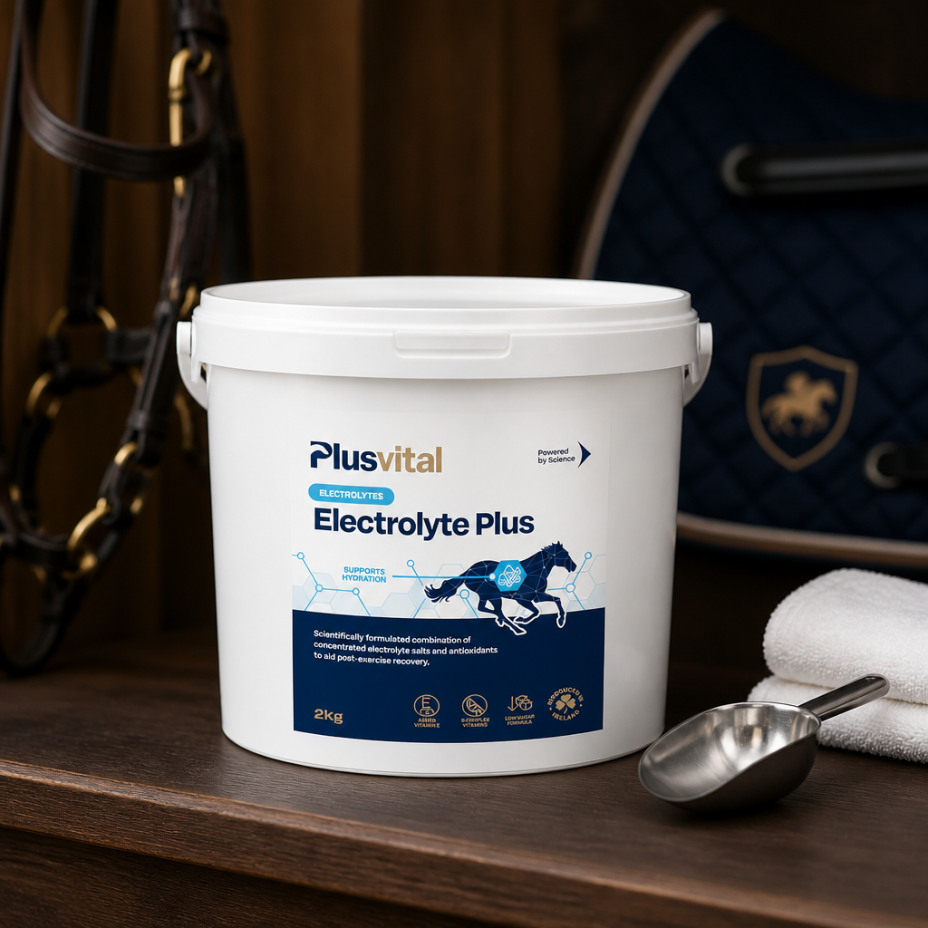 Plusvital Electrolyte Plus 2kg