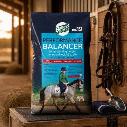 Baileys no19 Performance Balancer