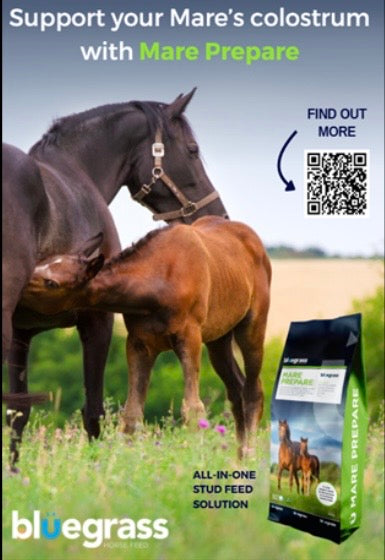 Mare Prepare Bluegrass 20kg