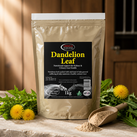 Omega Equine Dandelion Leaf 1kg