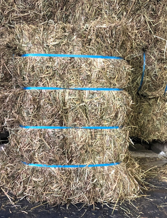ROBINSONS SMALL HAY BALES*****IN STORE COLLECTION ONLY******