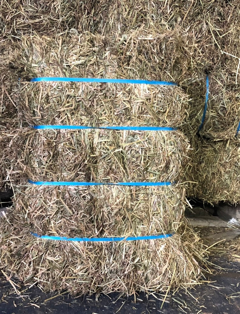 SMALL HAY BALES*****IN STORE COLLECTION ONLY******