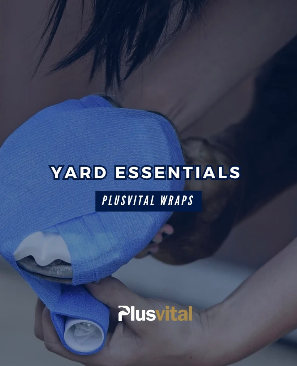 Plusvital Wrap  10cm  x 2m flat/ 4.5m stretched