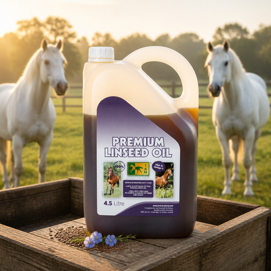 Premium Linseed Oil 4.5 Litre TRM