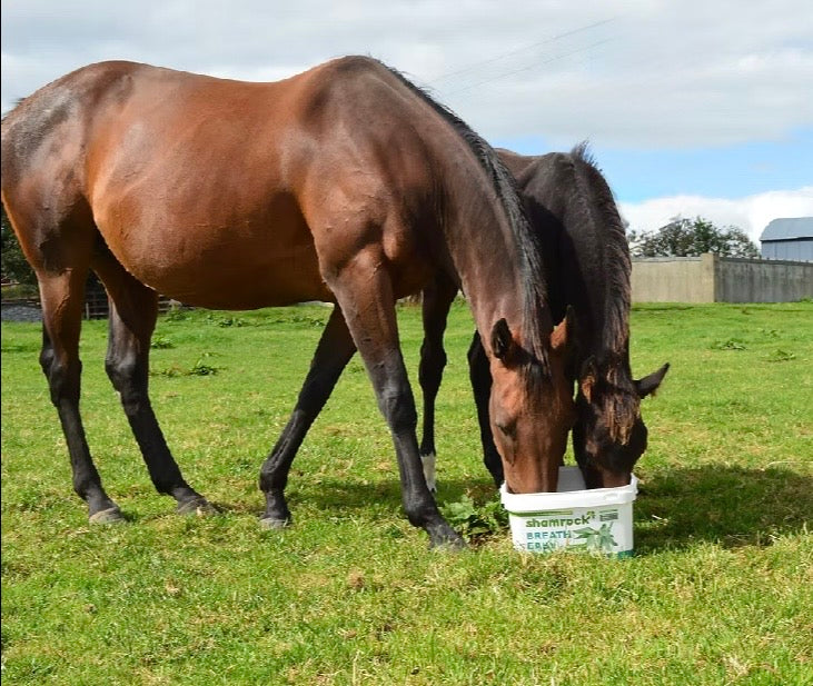 Shamrock Breath Easy 18kg**Introductory price **