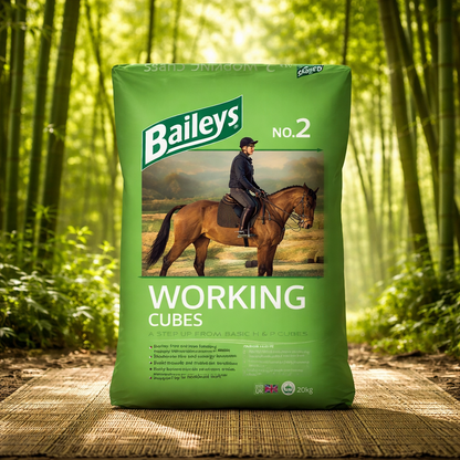 Baileys No 2 Working Cubes 20kg