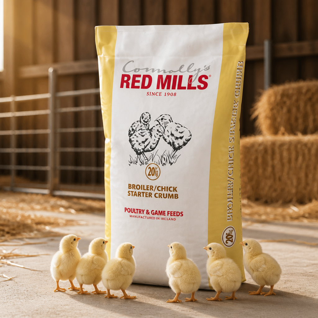 Broiler chick crumb 20%  5kg  Redmills
