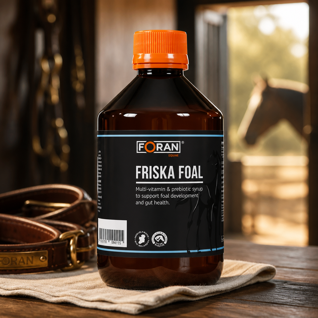 Forans Friska Foal