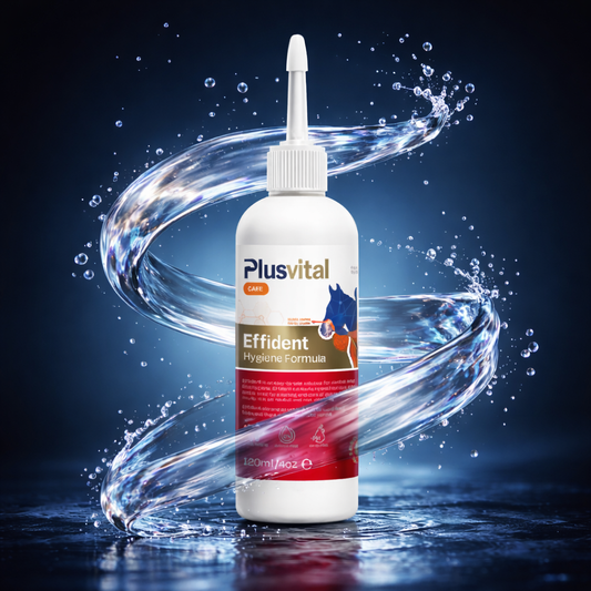 Plusvital Effident  120ml Oral hygiene