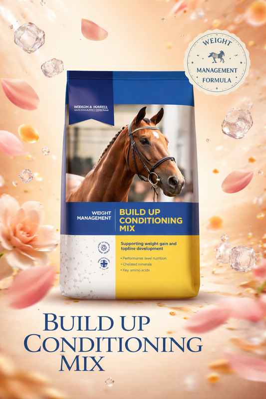 Build up conditioning mix D&H