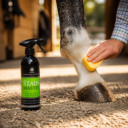 Carr Day and Martin Stain Master 500ml