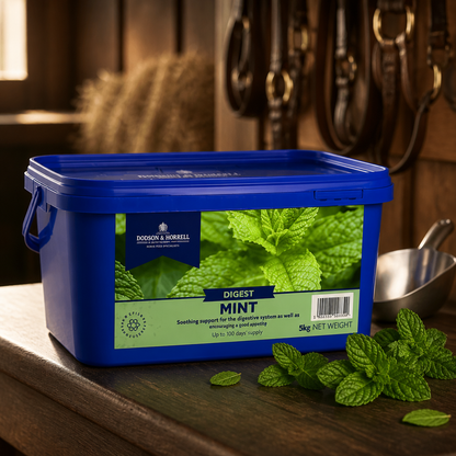 Mint 1kg D&H