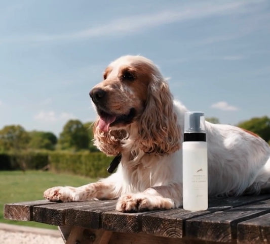 Groom & Go Dry Shampoo 200ml Cortaflex brand