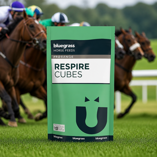 Bluegrass Respire cubes***NEW PRODUCT***20kg