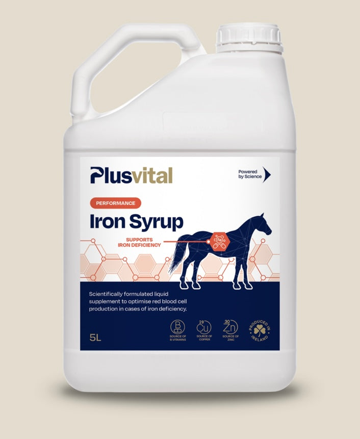 Plusvital Iron Syrup 5L