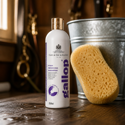 Carr Day and Martin Gallop Stain Removing Shampoo 500ml