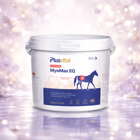 Plusvital MyoMax EQ 2kg