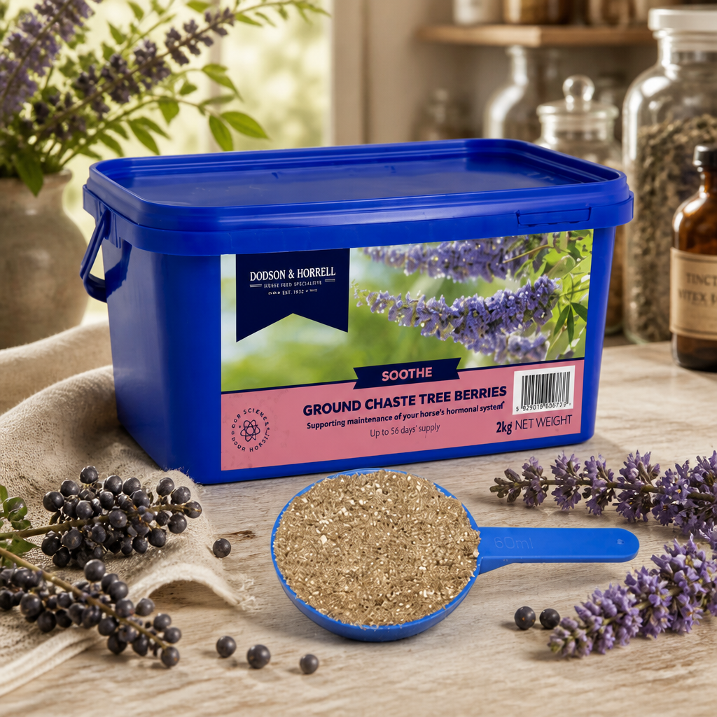 Ground Chaste Tree Berries 2kg D&H