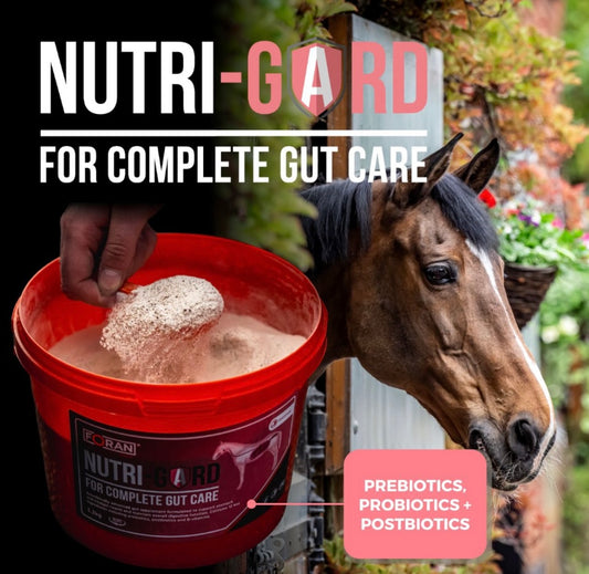 Foran Nutri-Gard complete gut care