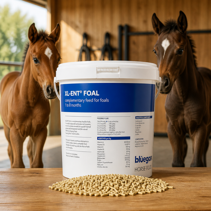FOAL MILK PELLETS 7KG  XL-ENT  BLUEGRASS