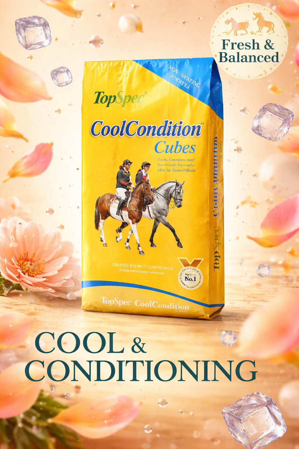 TopSpec Cool Condition Cubes 20kg