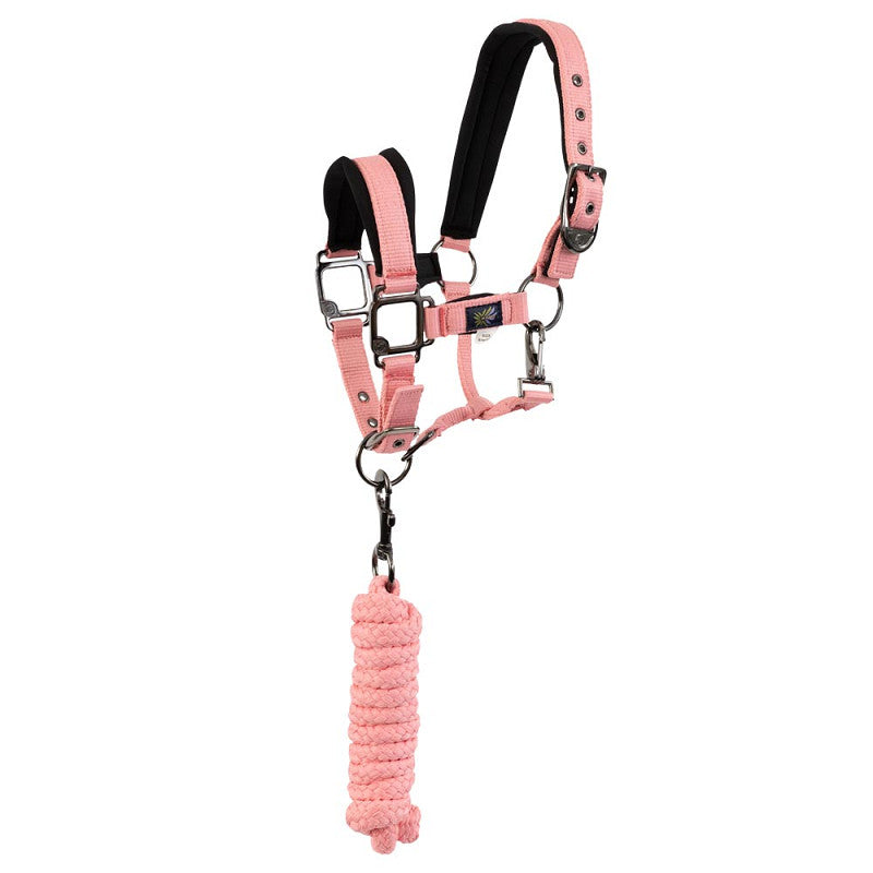 Pony & Cob Halters with lead ropes