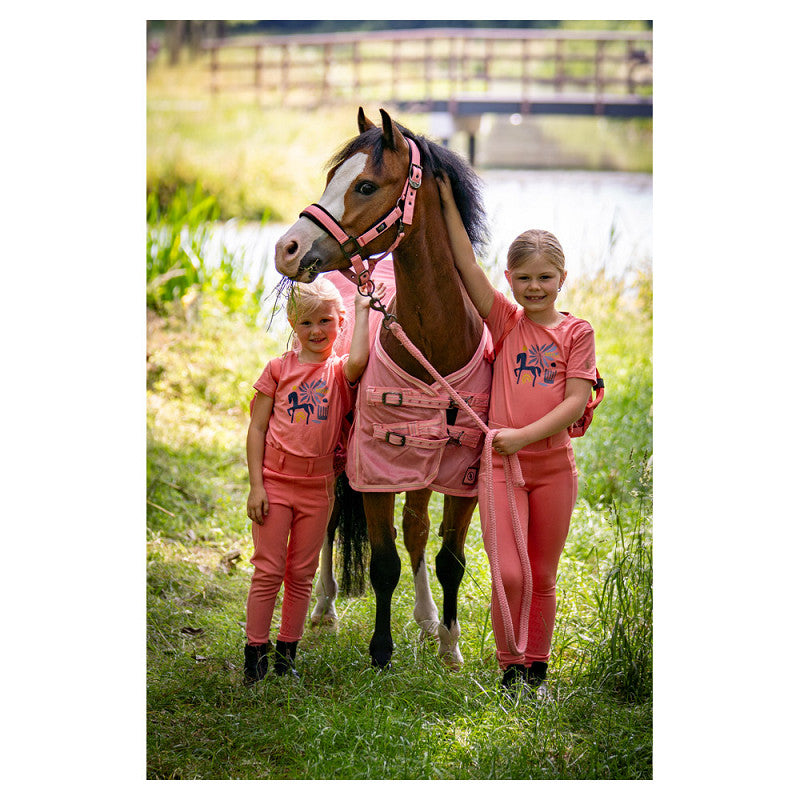 Pony & Cob Halters with lead ropes