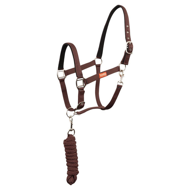 Pony Halter set snap hook