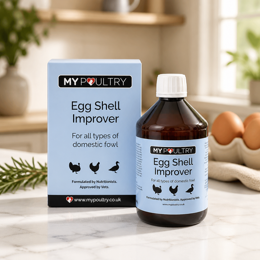 Egg Shell Improver  500ml