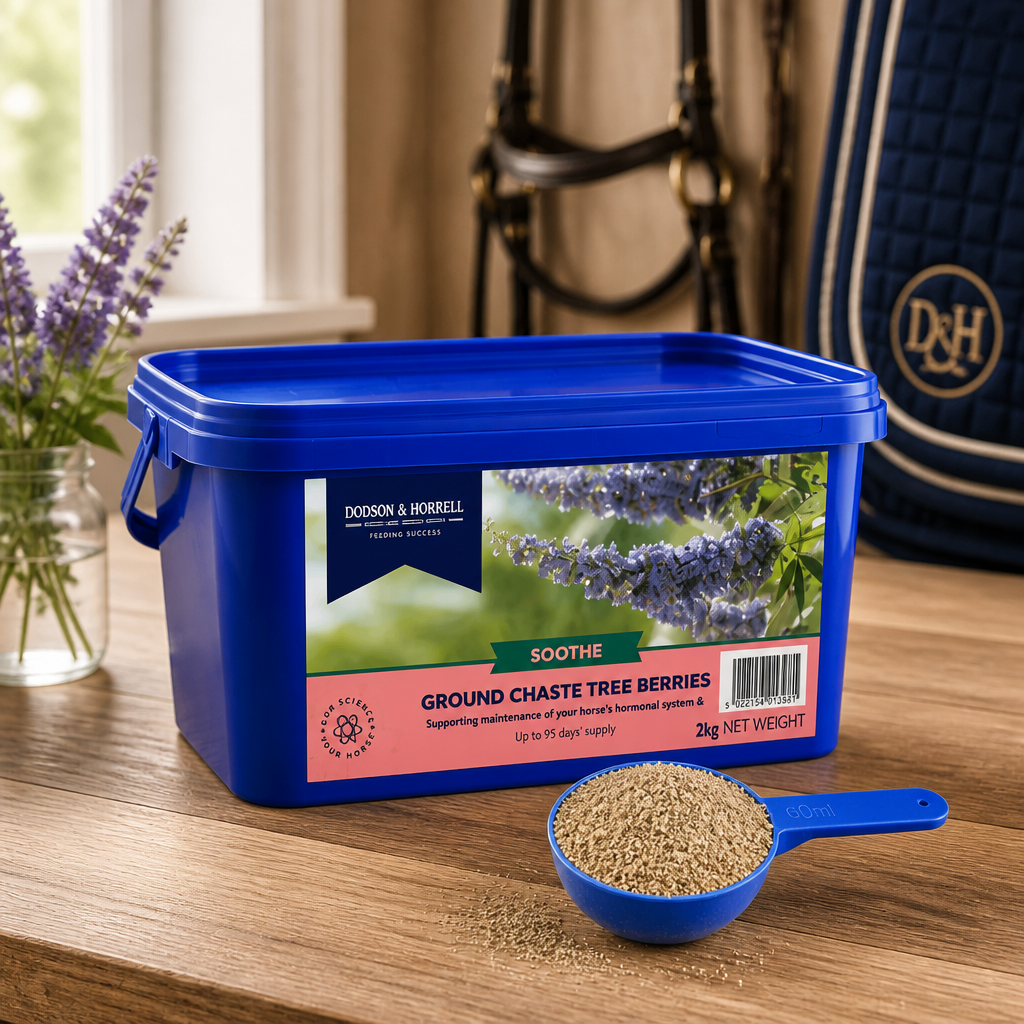 Ground Chaste Tree Berries 2kg D&H