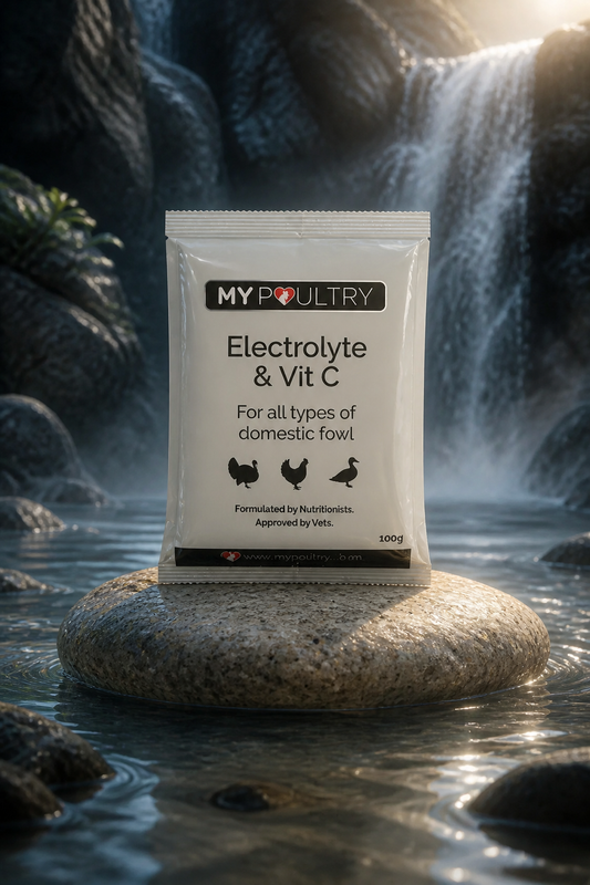 Poultry Electrolyte & Vit C 100g