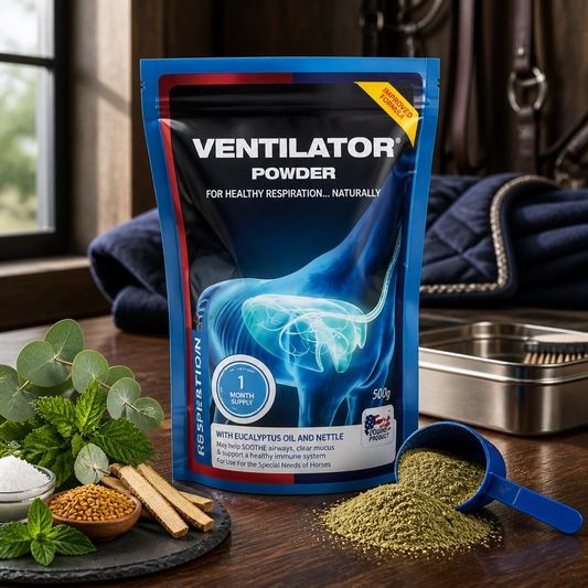 Ventilator Powder 500g