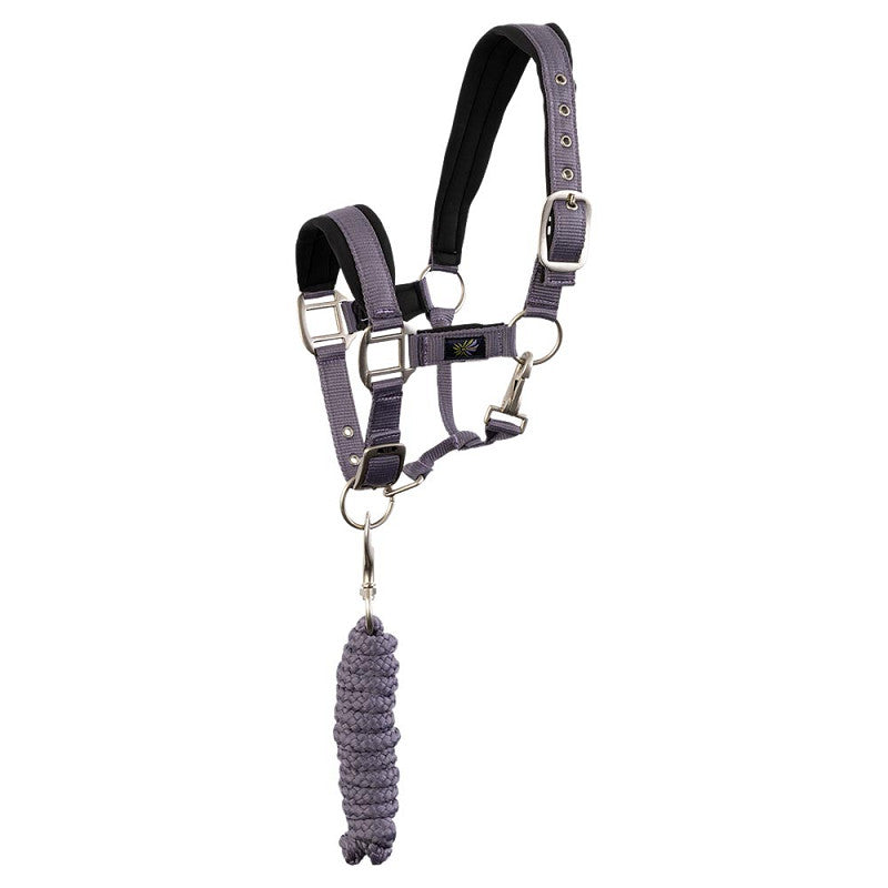 Pony & Cob Halters with lead ropes